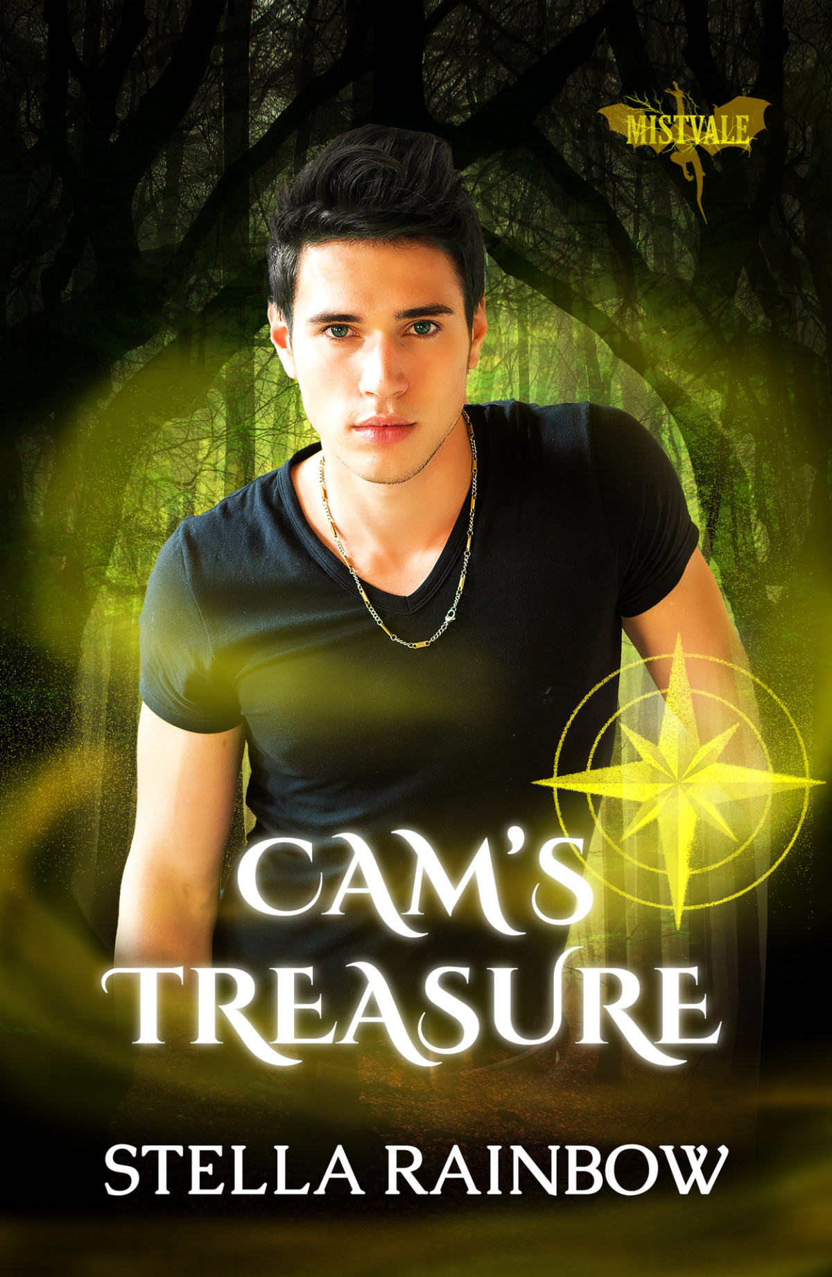 Cams Treasure An Mmmm Paranormal Romance Heirs Of Mistvale Book 1 Stella Rainbow