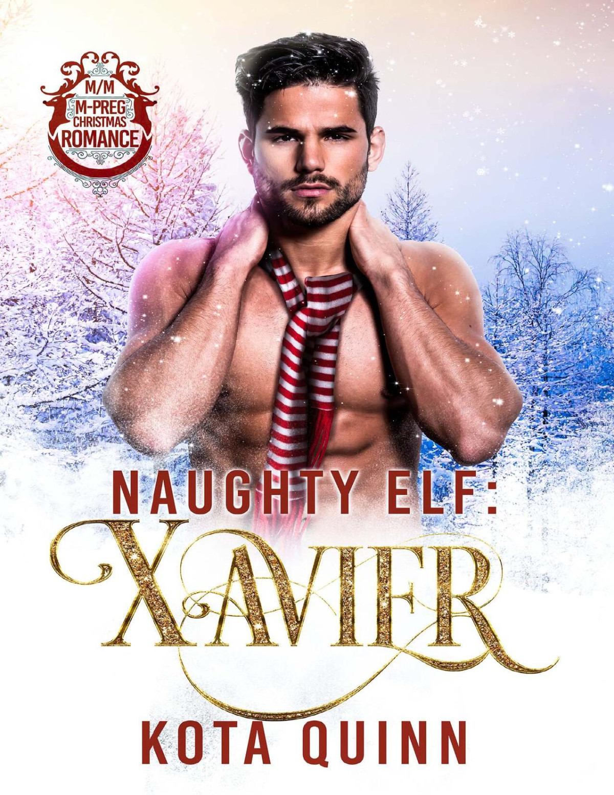 Naughty Elf Xavier Mm Mpreg Christmas Romance Kota Quinn
