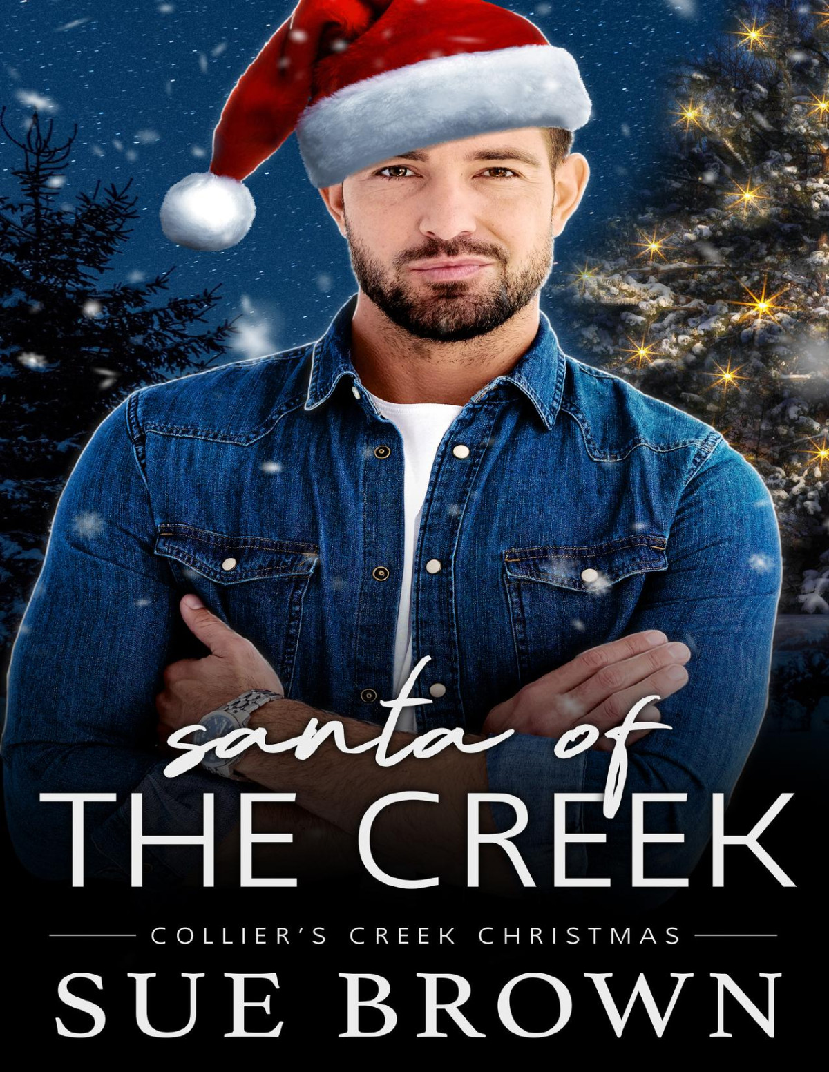 Santa Of The Creek Sue Brown