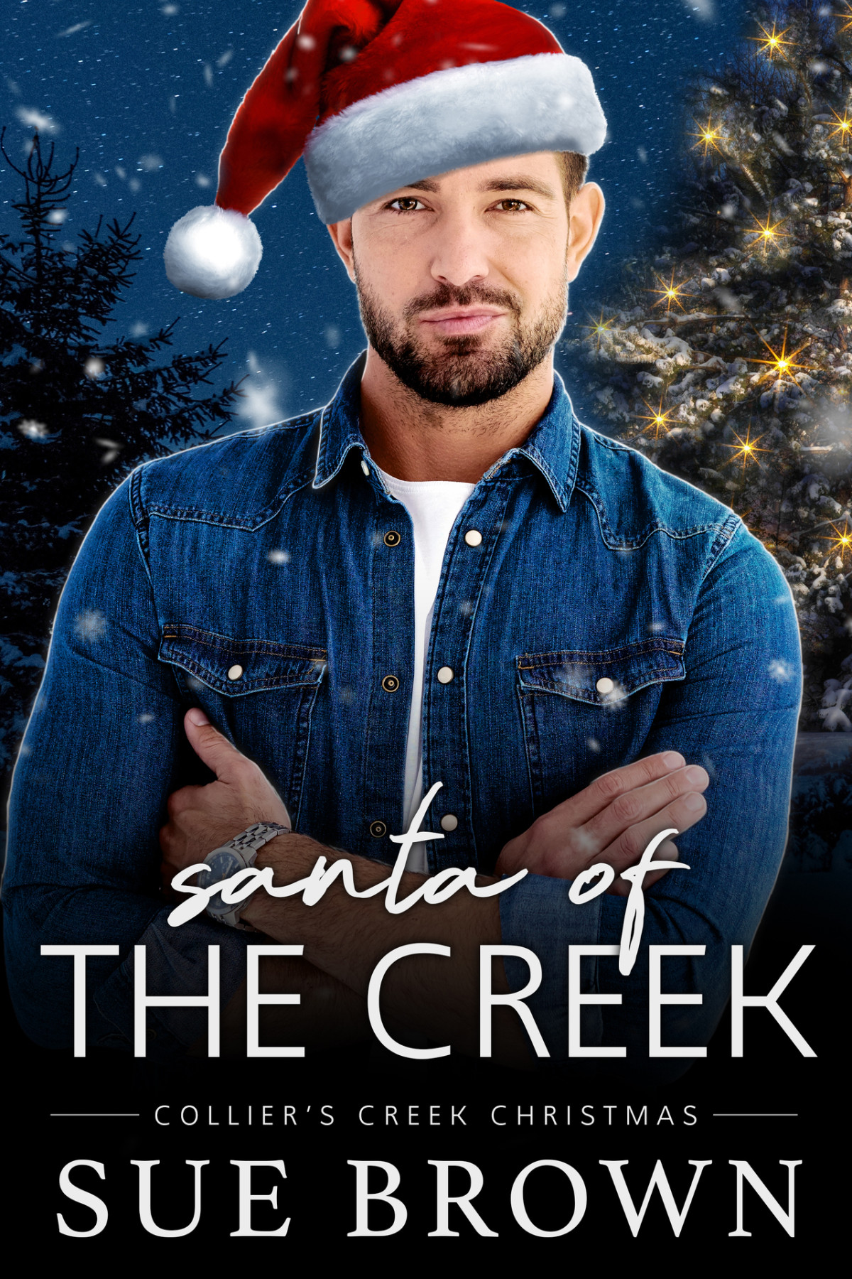Santa Of The Creek Sue Brown