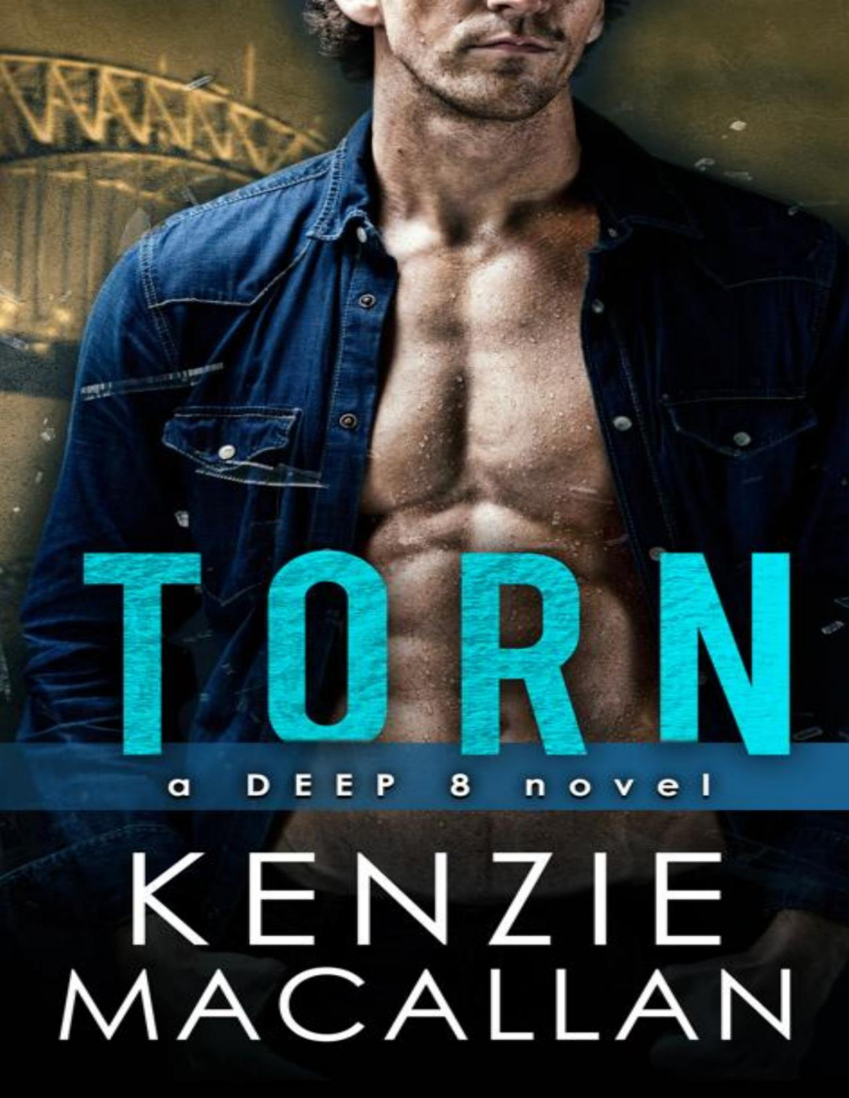 Torn A Romantic Suspense Novel A Deep 8 Novel Kenzie Macallan