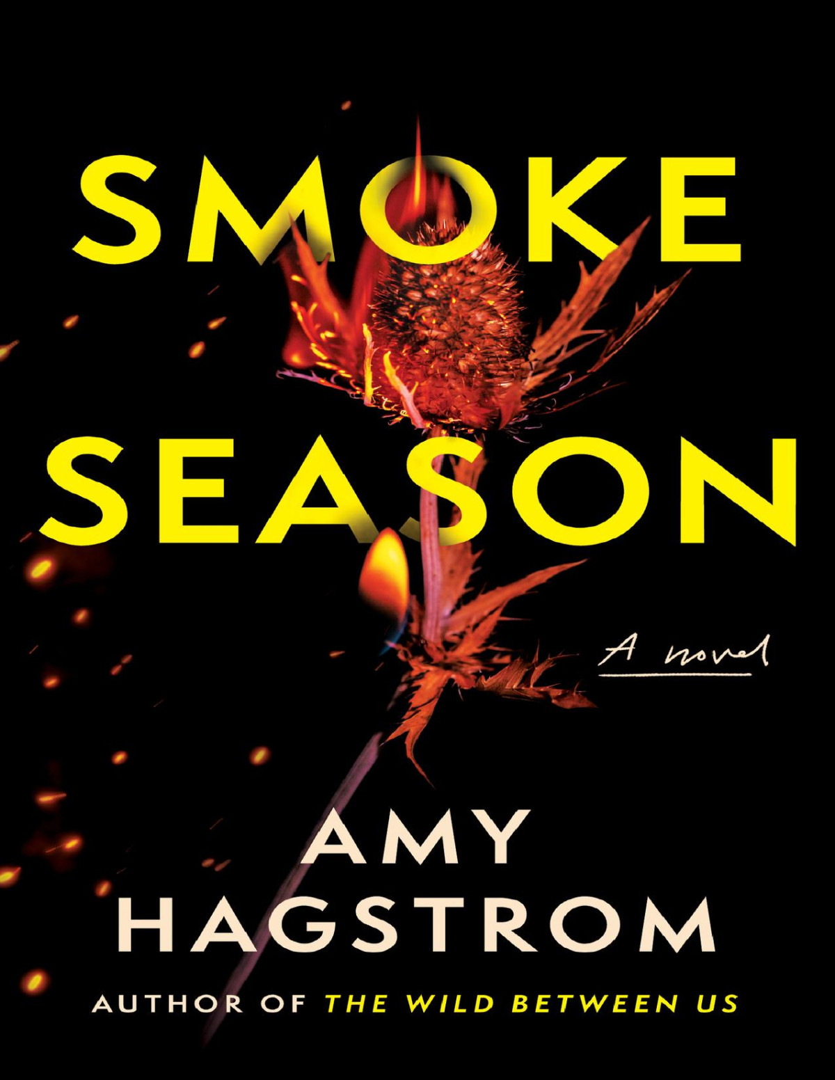 Smoke Season A Novel Amy Hagstrom