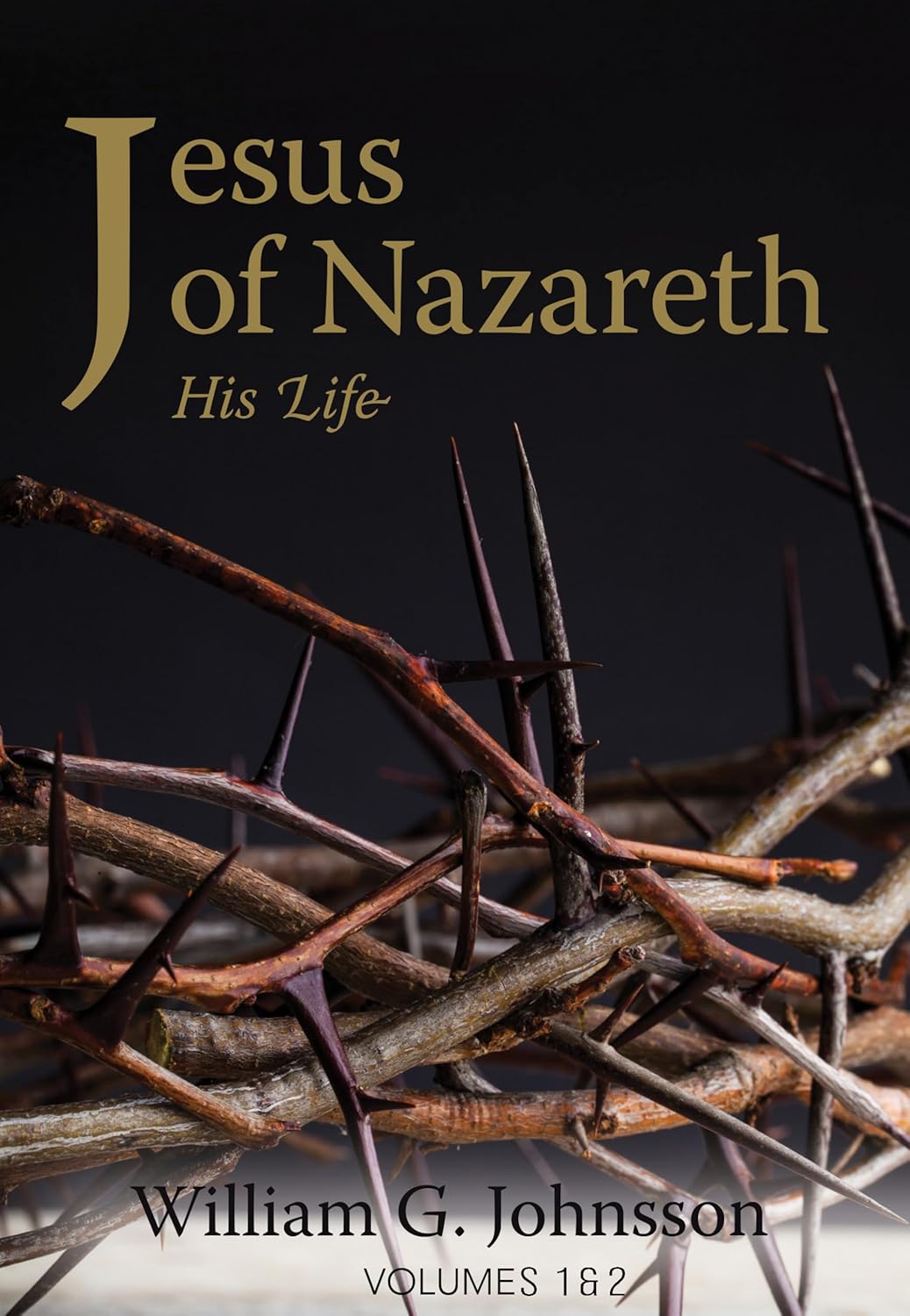 Jesus Of Nazareth Vol 1 2 William G Johnsson