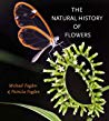 The Natural History Of Flowers Hardcover Michael Fogden Patricia Fogden