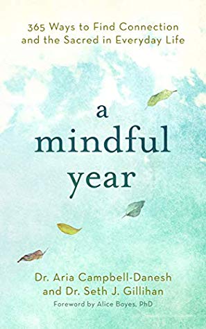 A Mindful Year Kindle Edition Aria Campbelldanesh Seth J Gillihan