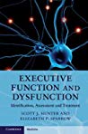 Executive Function And Dysfunction Identification Assessment And Treatment Hardcover Scott J Hunter Elizabeth P Sparrow