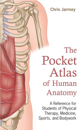 The Pocket Atlas Of Human Anatomy A Reference For Students Of Physical Therapy Medicine Sports And Bodywork 1st Edition Chris Jarmey