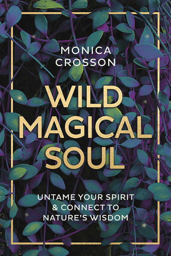Wild Magical Soul Untame Your Spirit Connect To Natures Wisdom Retail Monica Crosson