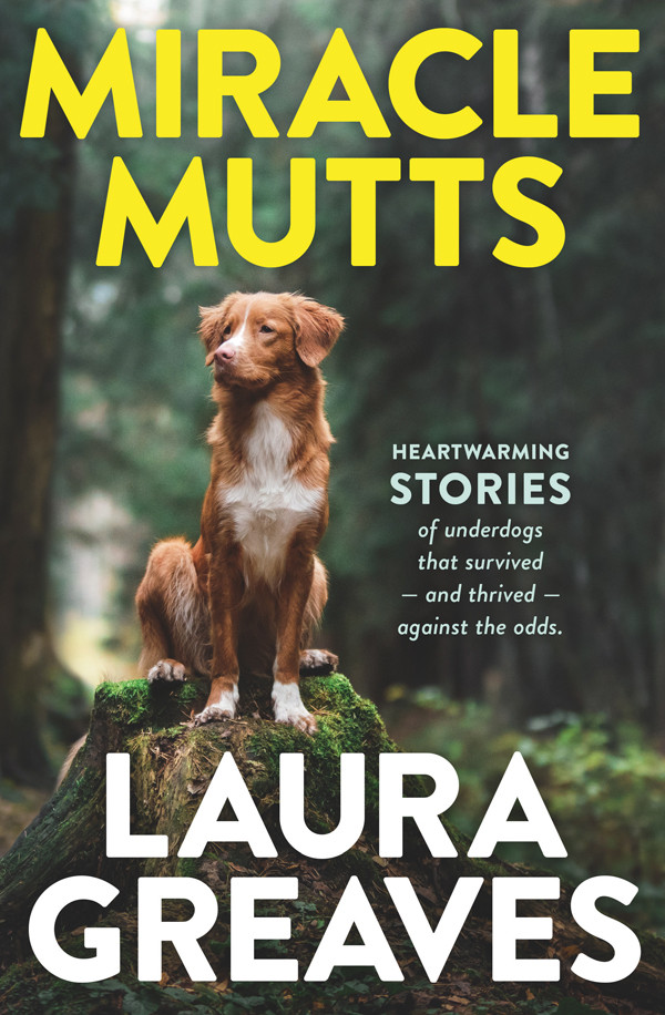 Miracle Mutts Retail Laura Greaves