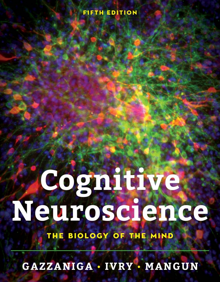 Cognitive Neuroscience 5th Ed The Biology Of The Mind 5th Edition Michael S Gazzaniga