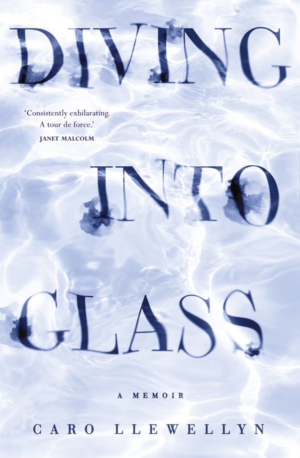 Diving Into Glass Llewellyn Caro