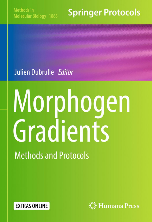 Morphogen Gradients Methods And Protocols 1st Ed Julien Dubrulle