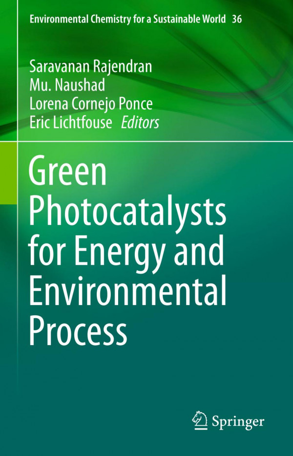Green Photocatalysts For Energy And Environmental Process 1st Ed 2020 Saravanan Rajendran