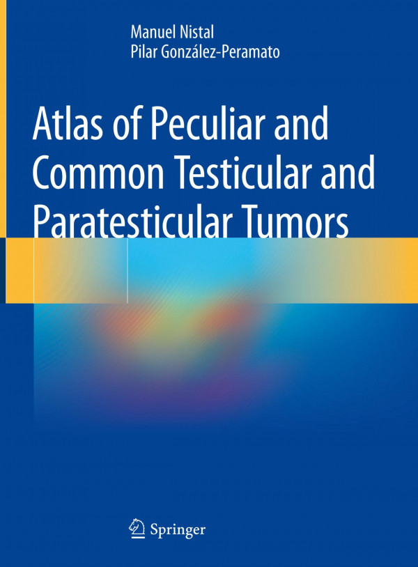 Atlas Of Peculiar And Common Testicular And Paratesticular Tumors 1st Ed 2020 Manuel Nistal