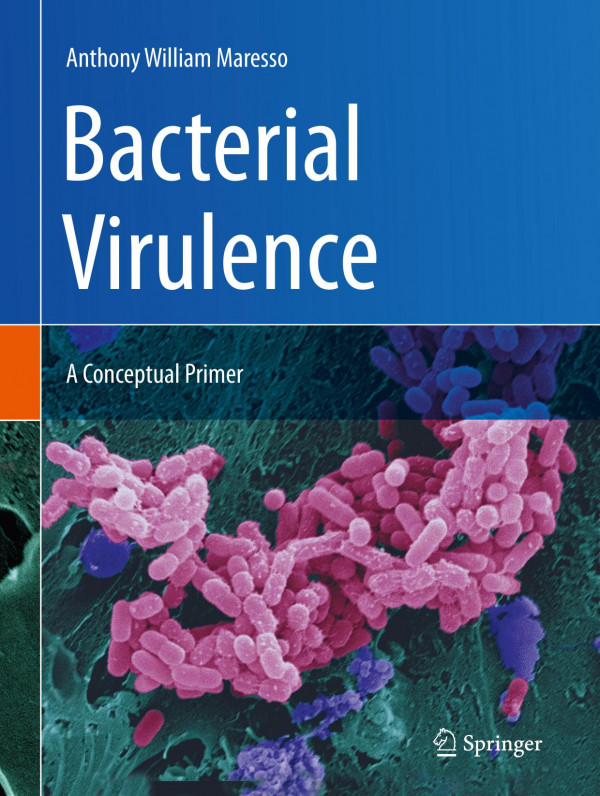 Bacterial Virulence A Conceptual Primer 1st Ed 2019 Anthony William Maresso