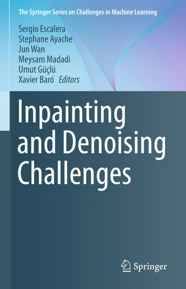 Inpainting And Denoising Challenges 1st Ed 2019 Sergio Escalera