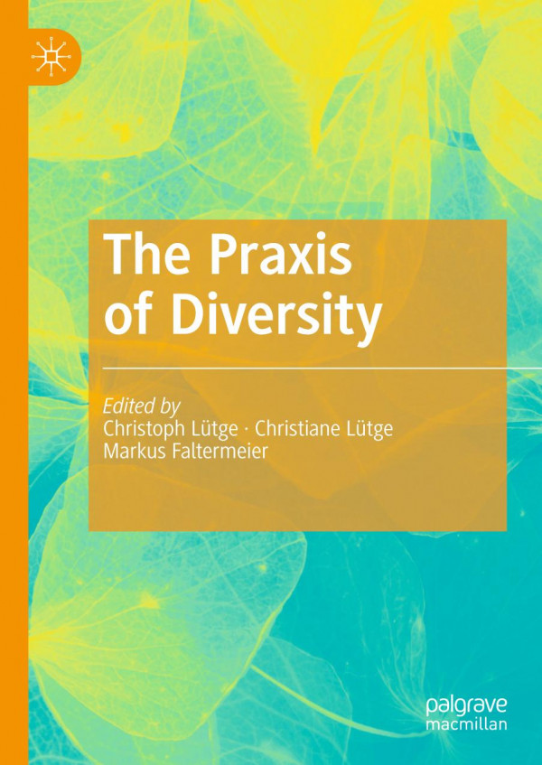 The Praxis Of Diversity 1st Ed 2020 Christoph Ltge Christiane Ltge
