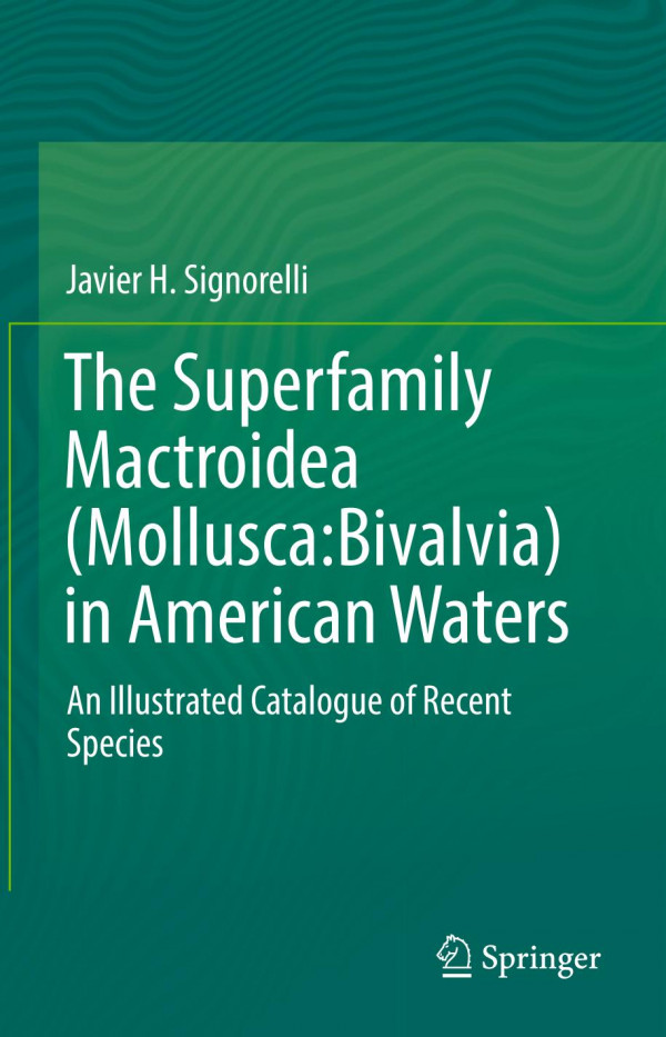 The Superfamily Mactroidea Molluscabivalvia In American Waters An Illustrated Catalogue Of Recent Species 1st Ed 2019 Javier H Signorelli