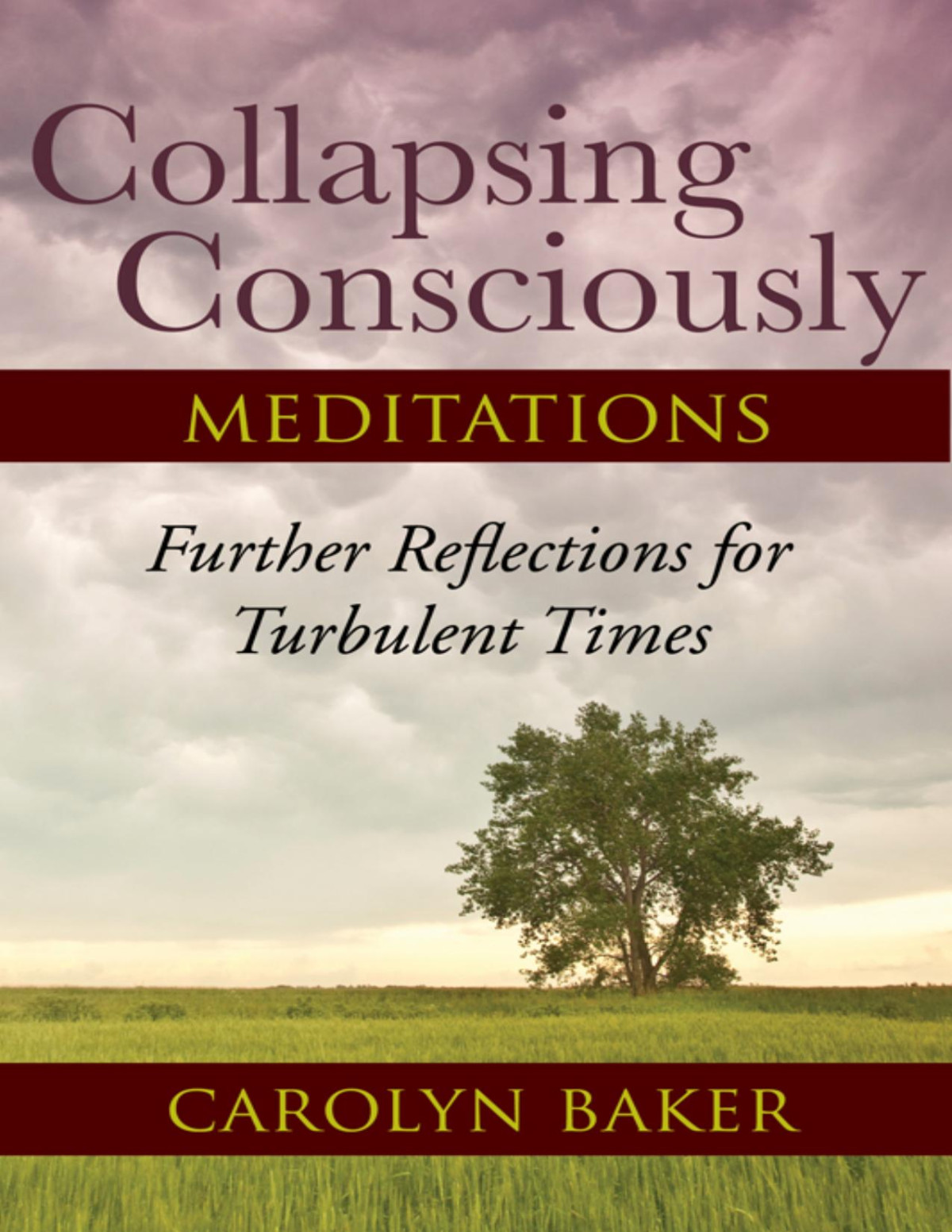 Collapsing Consciously Meditations Further Reflections For Turbulent Times Carolyn Baker