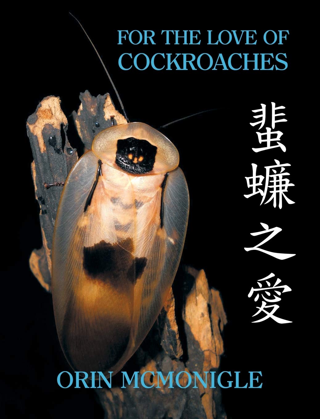 For The Love Of Cockroaches Orin Mcmonigle