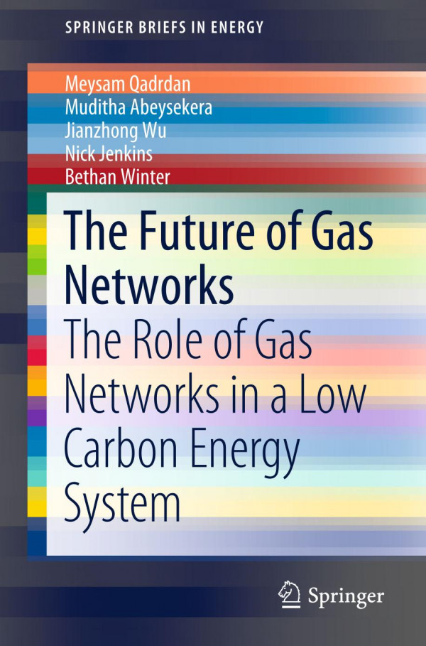 The Future Of Gas Networks The Role Of Gas Networks In A Low Carbon Energy System 1st Ed 2020 Meysam Qadrdan