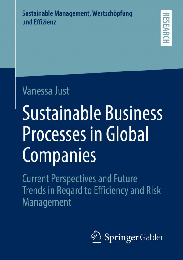 Sustainable Business Processes In Global Companies Current Perspectives And Future Trends In Regard To Efficiency And Risk Management 1st Ed 2020 Vanessa Just