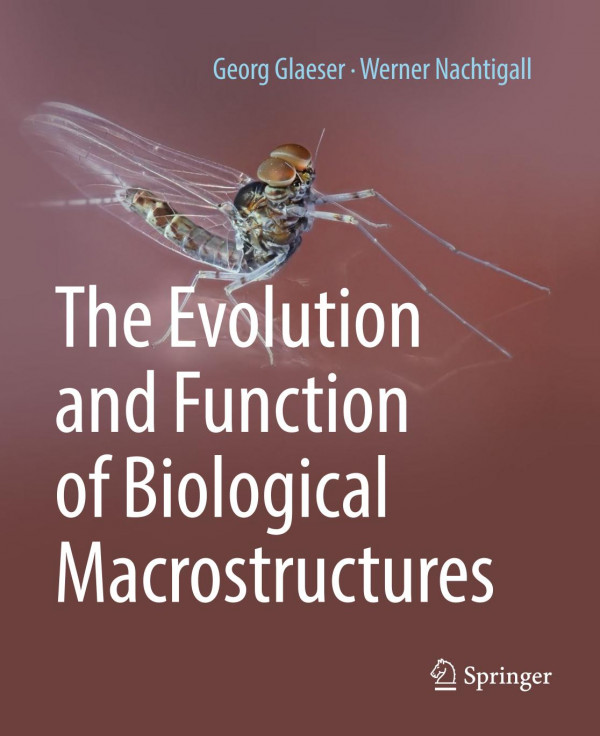 The Evolution And Function Of Biological Macrostructures 1st Ed 2019 Georg Glaeser