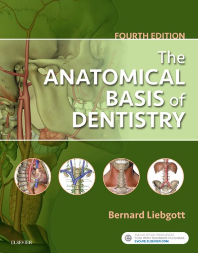 The Anatomical Basis Of Dentistry 4th Bernard Liebgott