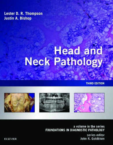 Head And Neck Pathology A Volume In The Series Foundations In Diagnostic Pathology 3ed 3rd Edition Thompson