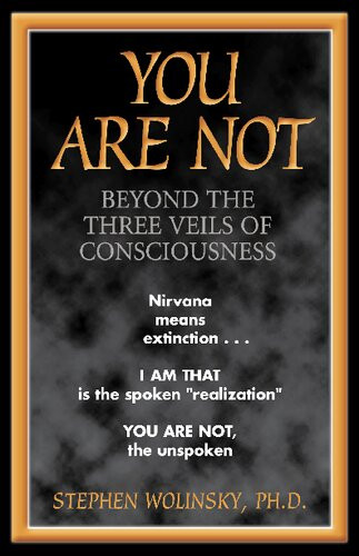 You Are Not Beyond The Three Veils Of Consciousness Stephen H Wolinsky
