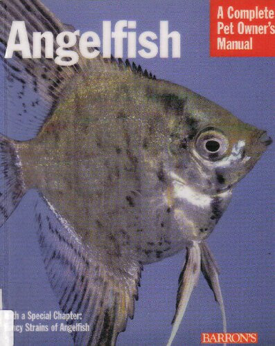 Angelfish Everything About History Care Nutrition Handling And Behavior Robert J Goldstein