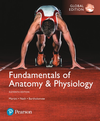 Fundamentals Of Anatomy And Physiology Global Edition 11th Ed Bartholomew