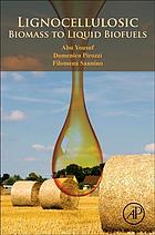 Lignocellulosic Biomass To Liquid Biofuels Pirozzi Domenico Sannino