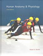 Human Anatomy Physiology Sixth Edition International Edition Marieb