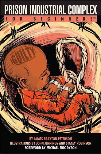 Prison Industrial Complex For Beginners James Braxton Peterson