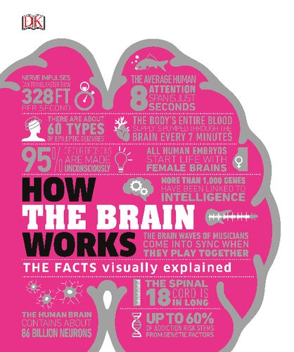 How The Brain Works Catherine Collin Wendy Horobin