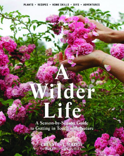 A Wilder Life A Seasonbyseason Guide To Getting In Touch With Nature Celestine Maddy