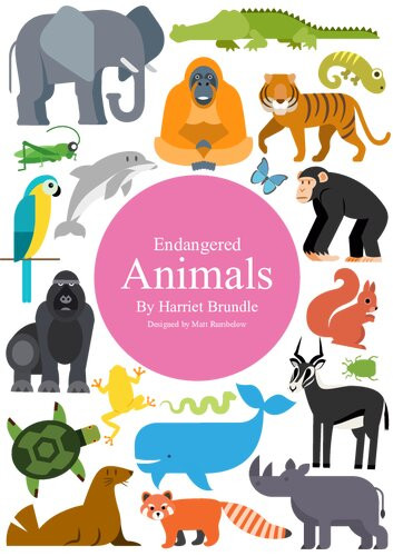 Endangered Animals Infographics Harriet Brundle