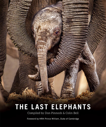 The Last Elephants Colin Bell Don Pinnock