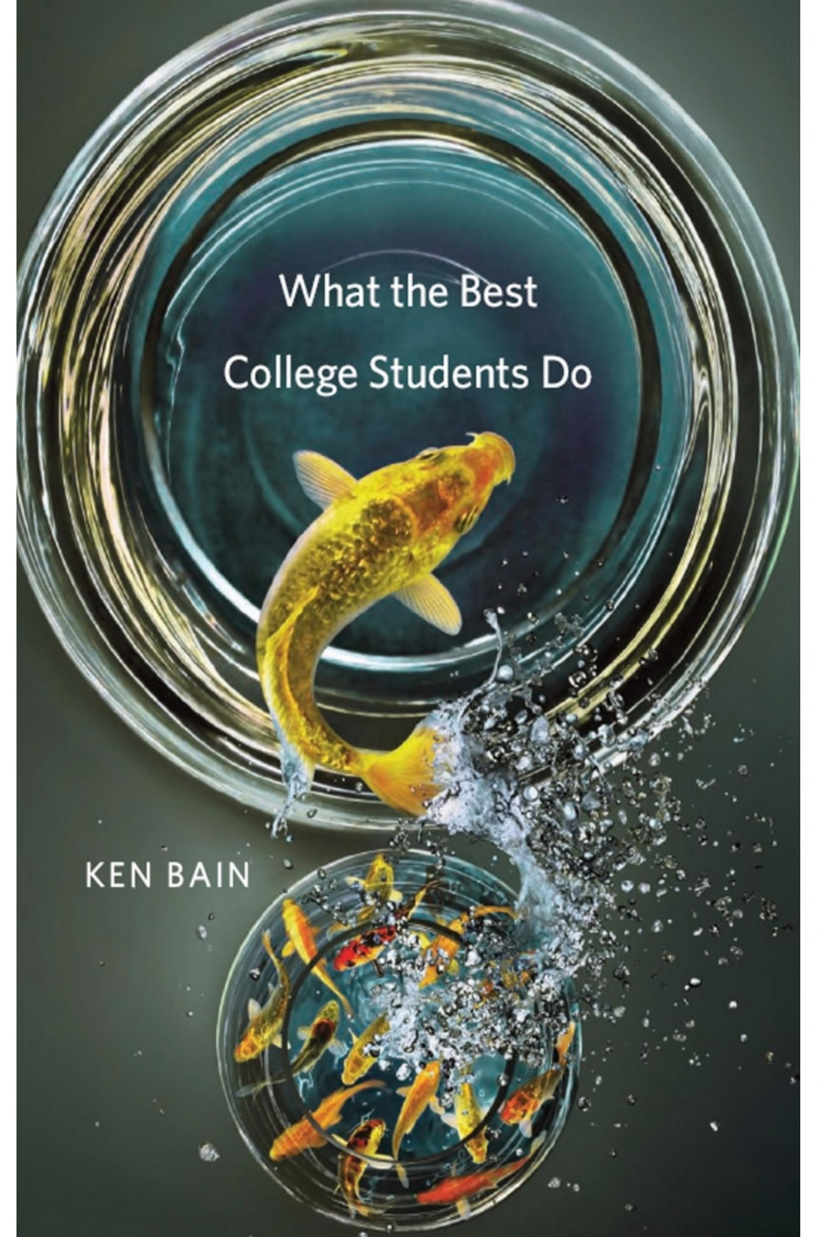 What The Best College Students Do Ken Bain
