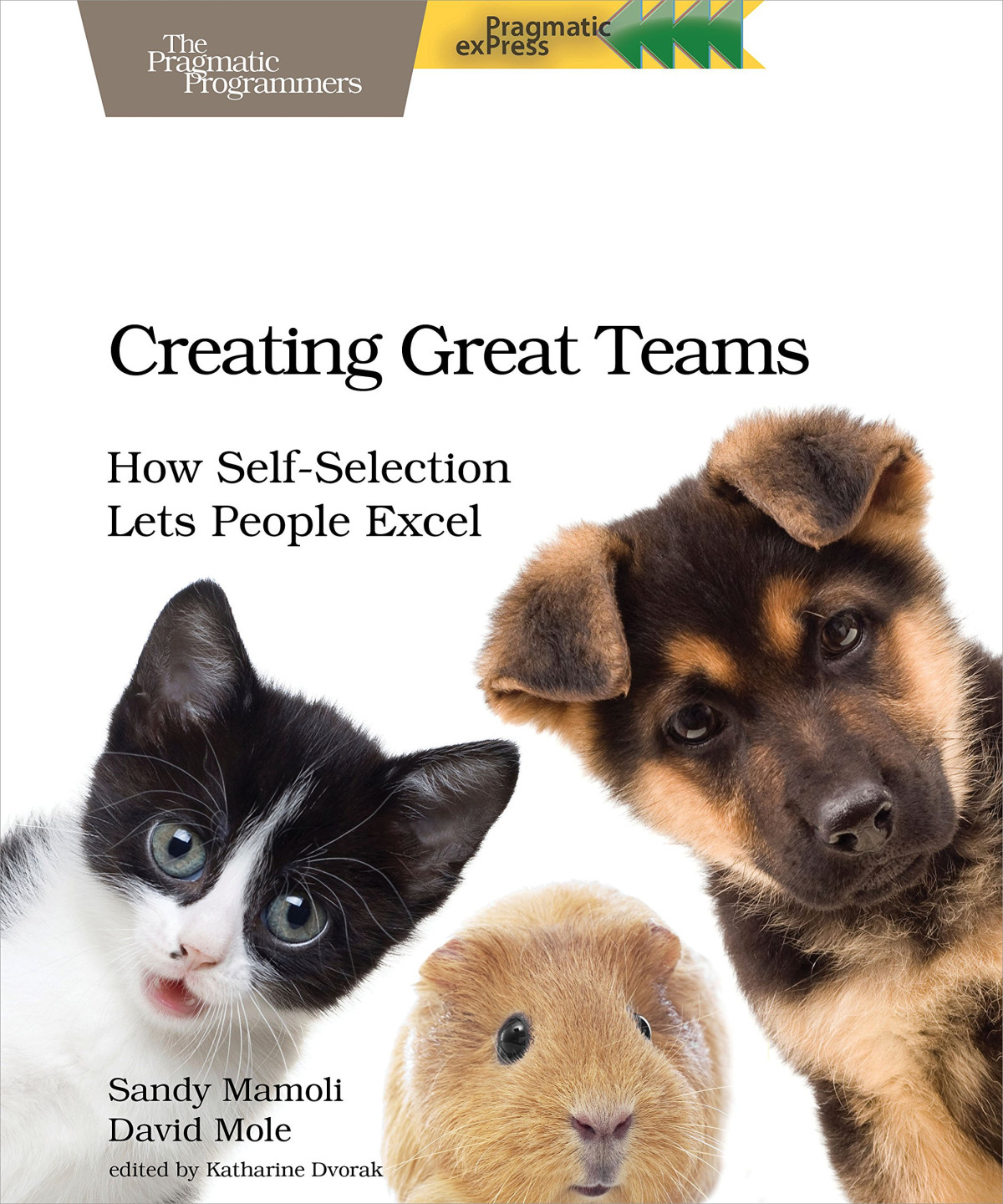 Creating Great Teams How Selfselection Lets People Excel 1st Edition Sandy Mamoli