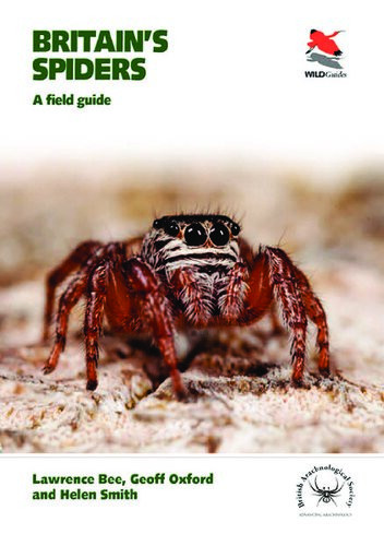 Britains Spiders A Field Guide Lawrence Bee Geoff Oxford Helen Smith