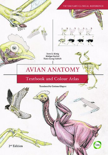 Avian Anatomy Textbook And Colour Atlas 2nd Edition Horst E Koenig Ruediger Korbel Hansgeorg Liebich Corinna Klupiec