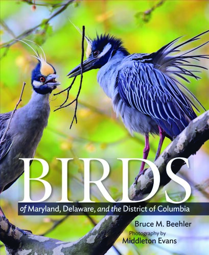 Birds Of Maryland Delaware And The District Of Columbia Bruce Mcp Beehler