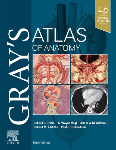 Grays Atlas Of Anatomy 3rd Edition Richard Drake Wayne Vogl