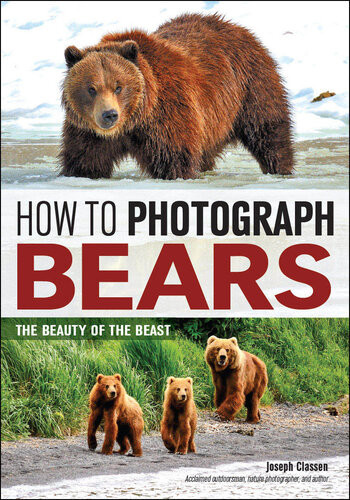 How To Photograph Bears The Beauty Of The Beast Joseph F Classen