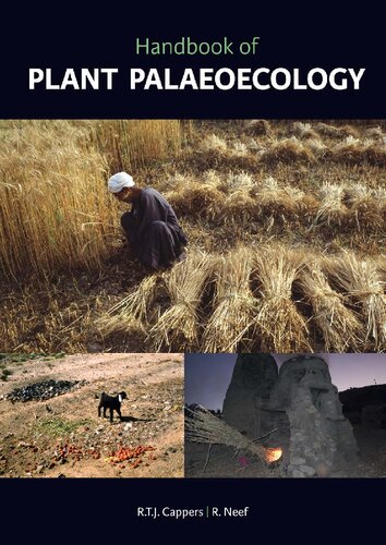 Handbook Of Plant Palaeoecology Ren T J Cappers Reinder Neef