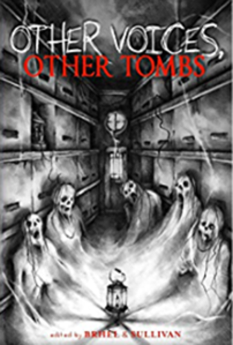 Other Voices Other Tombs Lucia Kevin Garza Michelle Wehunt Michael Yardley Mercedes Ahlborn Ania Amor Gemma Files Gemma Burke Kealan Patrick Duran Mike Sullivan Joe