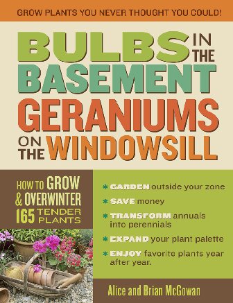 Bulbs In The Basement Geraniums On The Windowsill How To Grow And Overwinter 165 Tender Plants Alice Mcgowan