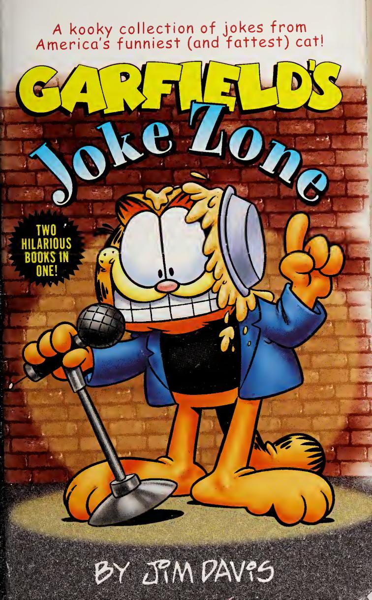 Garfields Joke Zone Garfields Inyourface Insults 1st Edition Jim Davis